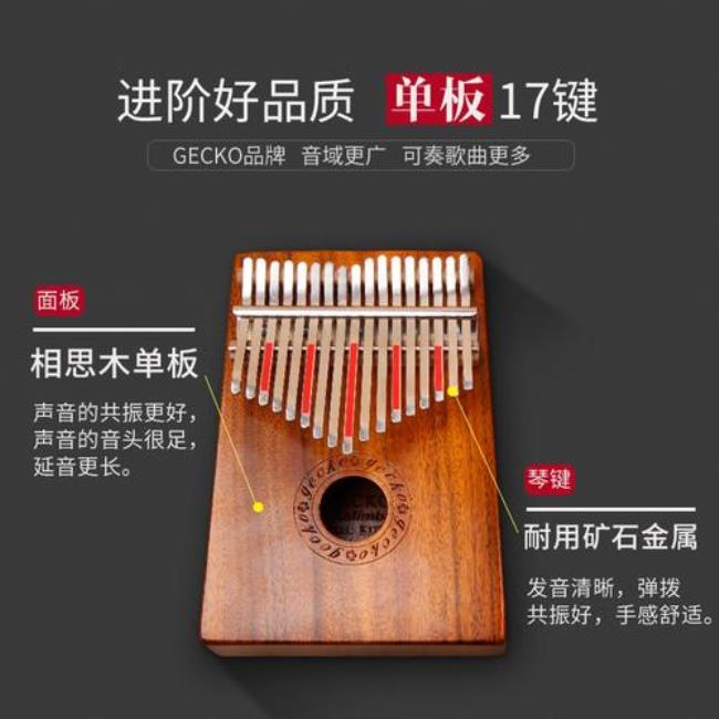 手小适合学什么乐器