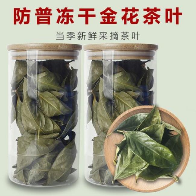 金花茶叶子怎么泡制