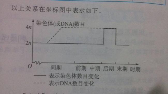 一个基因有多少个染色体