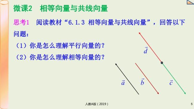 共线向量一定是平行向量吗