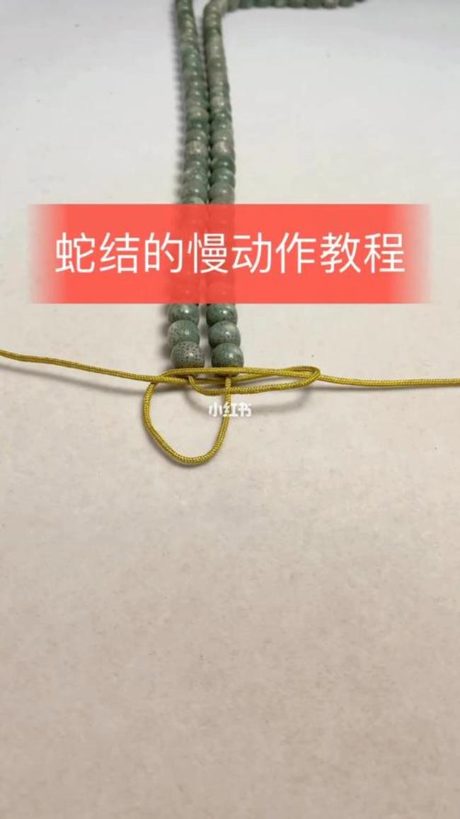 什么是蛇结