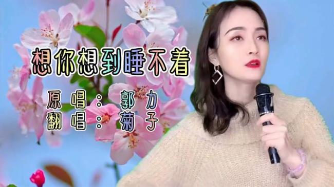 想你想的睡不着歌曲表达了什么