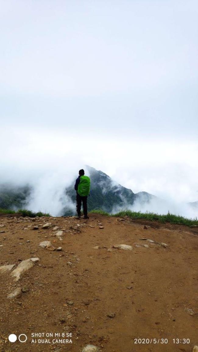 青山一别啥意思