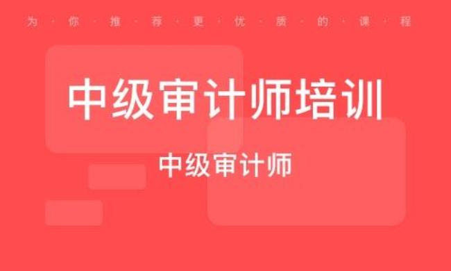 全国中级审计师人数