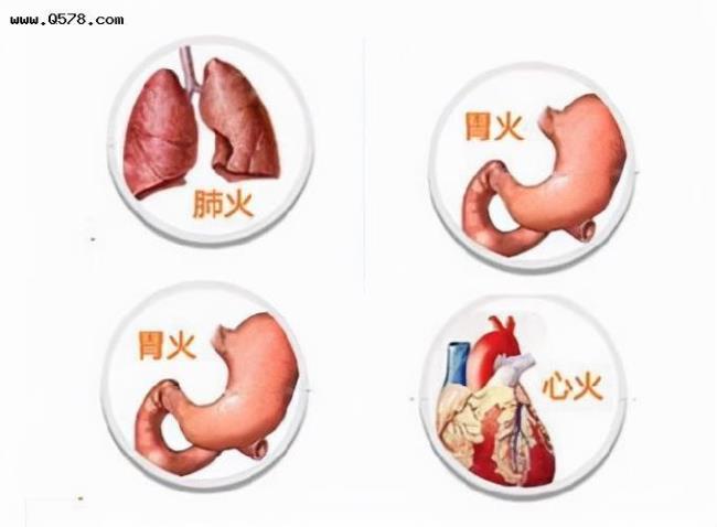 怎么辩认肺火肝火胃火