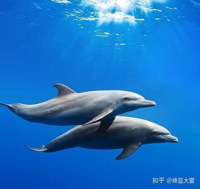 山东海洋生物有多少种