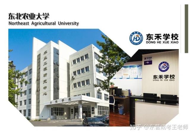 东北农业大学里面有药店吗