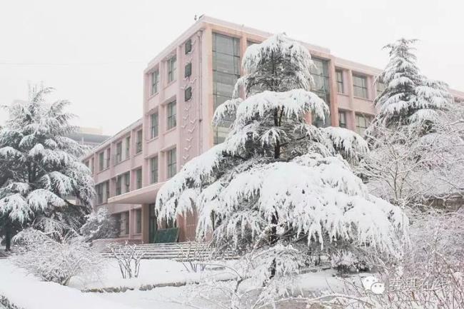 山东费县有什么大学