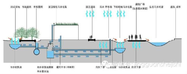 排雨水的方法和技巧