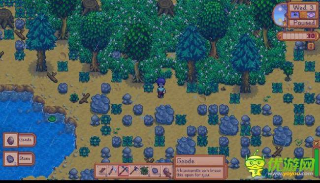 星露谷物语stardew valley星星果怎么获得