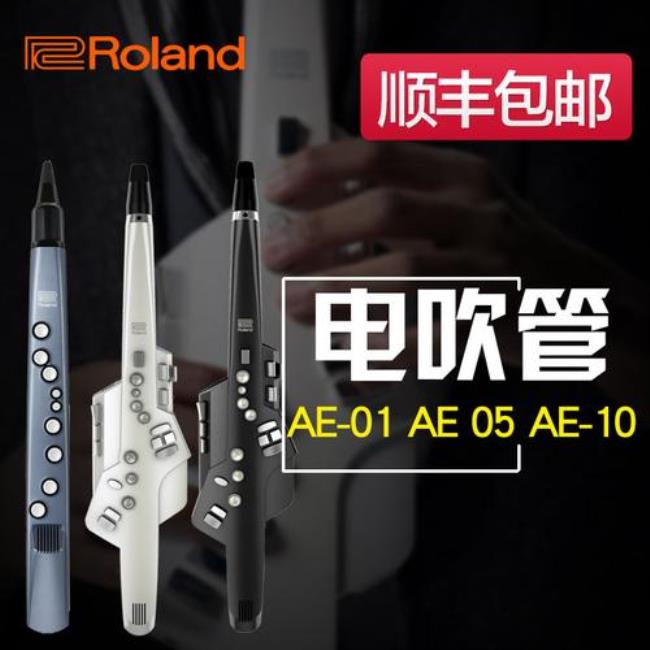 罗兰ae10电吹管与罗兰ea30的区别