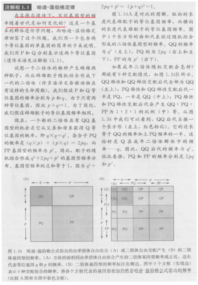 哈迪温伯格定律的五个条件