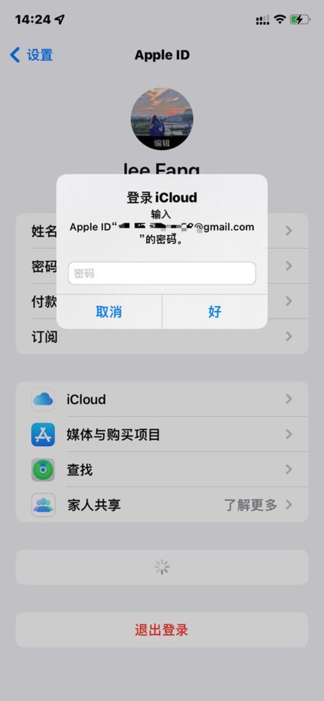 appleid格式是怎样的