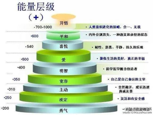 人生命由哪三部分构成