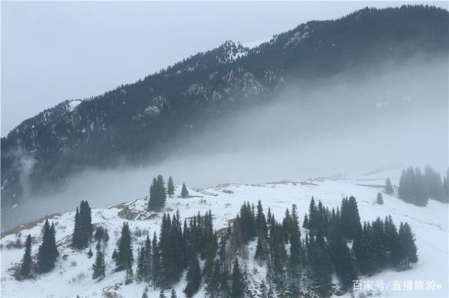 冬雪纷纷什么意思