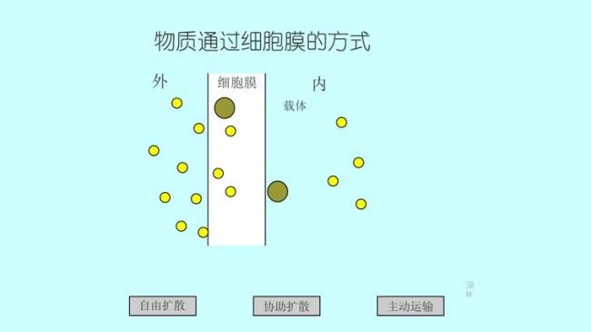 三步法判断物质出入细胞的方式