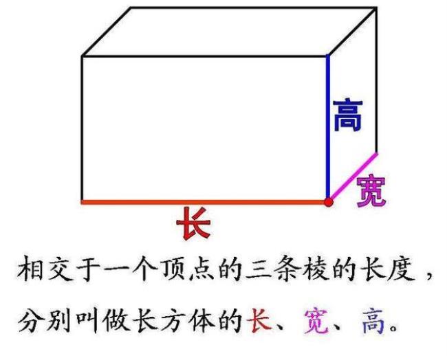 长方体的正面又称什么