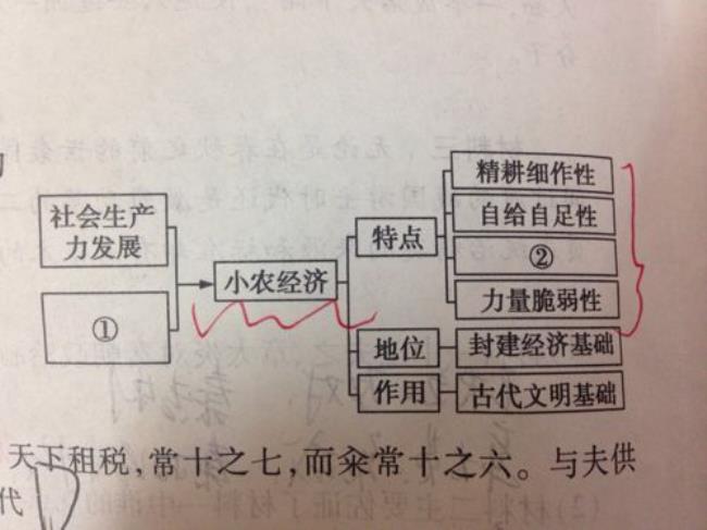 秦朝以后都是土地私有制吗