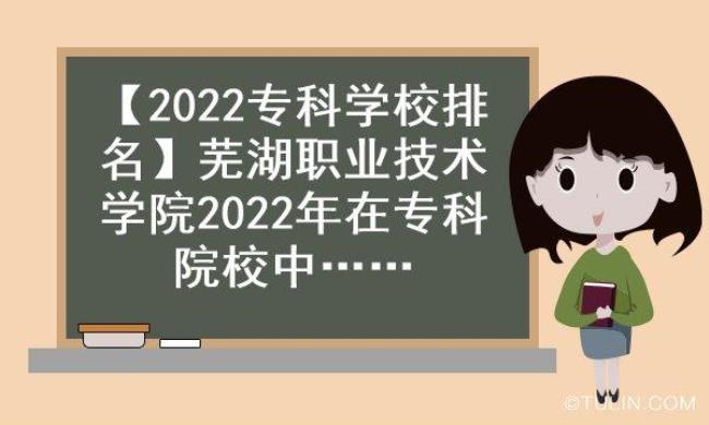 芜湖学院是公办还是民办