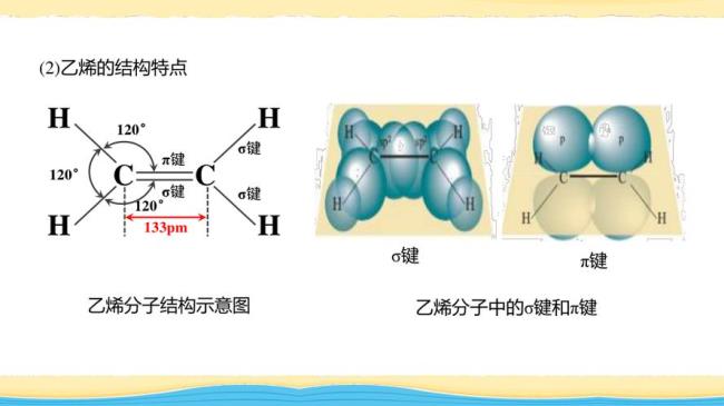 烯烃的阿尔法氢是哪个