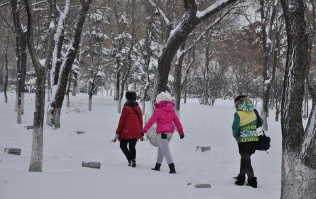 为啥要雪中漫步