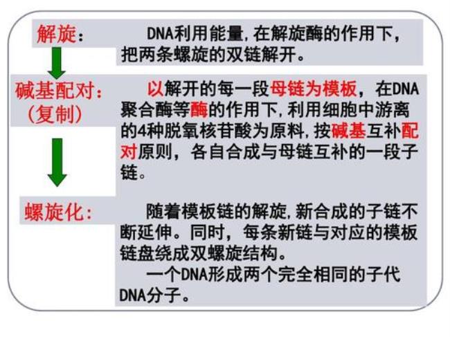 dna分子的复制方式的依据