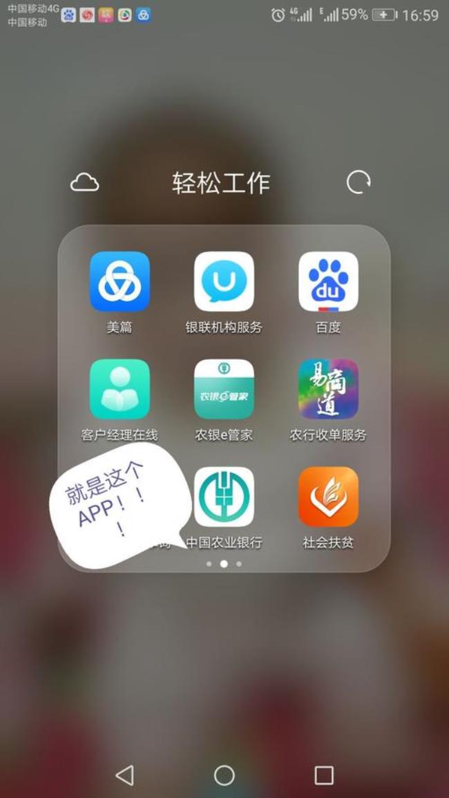 农业掌银是什么