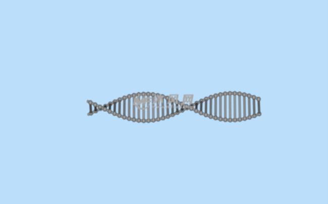 dna分子双螺旋结构使用的方法