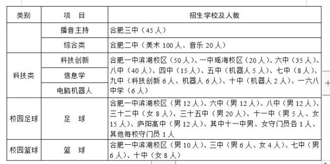 合肥有哪些公立大专有自主招生