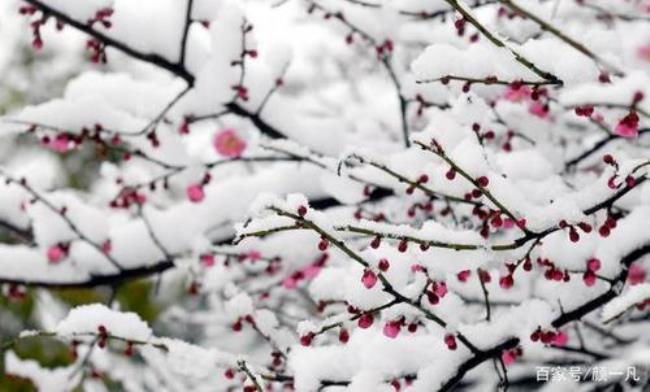 从意象意境角度赏析沁园春雪