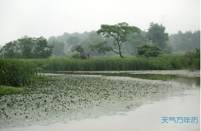 广东雨季一般是几月份