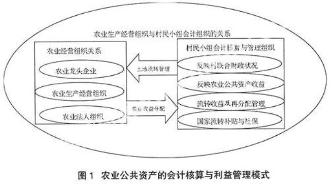 会计功能包括哪些