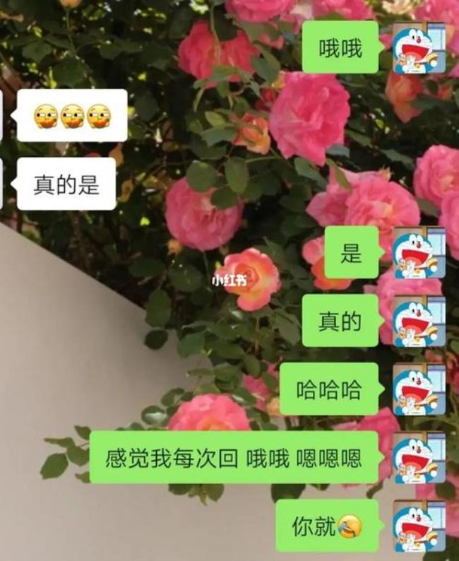 闺蜜说嗯你该怎么回复