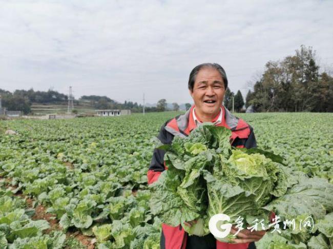 贵州省乡村产业发展成就主要有