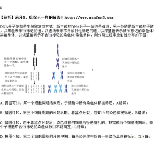 一条染色单体算一条染色体吗