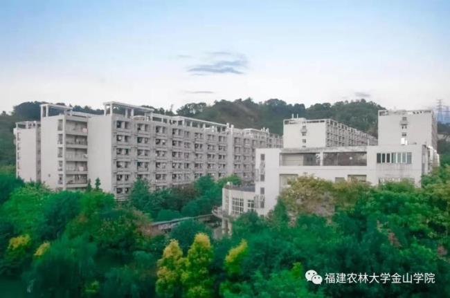 福建农林大学有几个学院