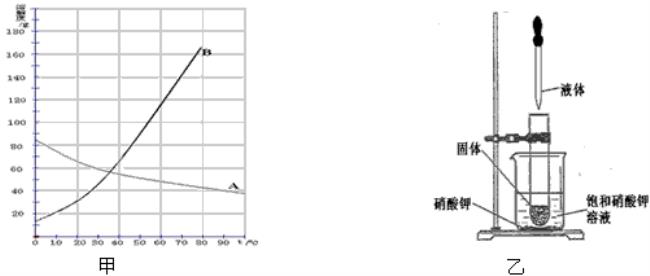 dna变性的溶解温度