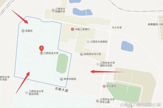 南昌大学和北京工商大学哪个好