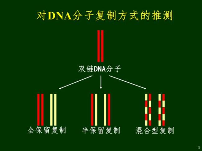 半保留复制n代有多个