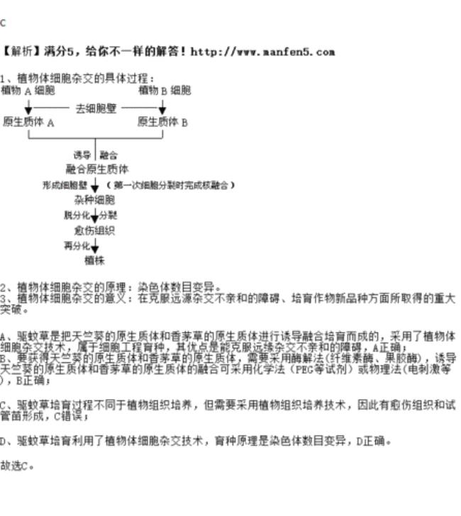 植物体细胞杂交的变异类型