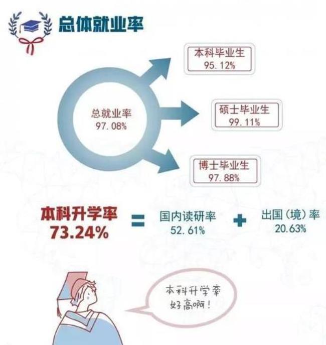 公办专科院校分配就业吗