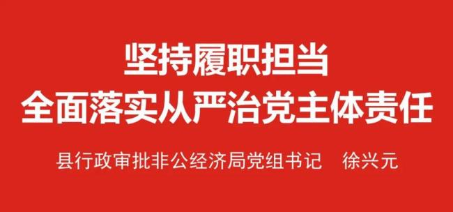 主体责任直接责任领导责任区别