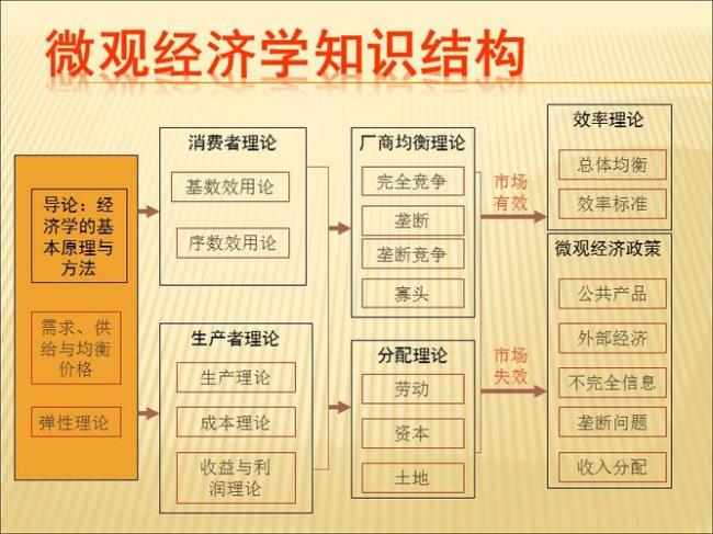 微观经济学中什么是道德风险