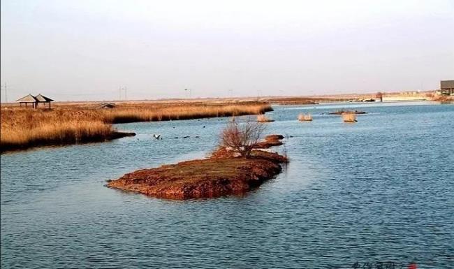 东营黄河入海口最佳旅游时间