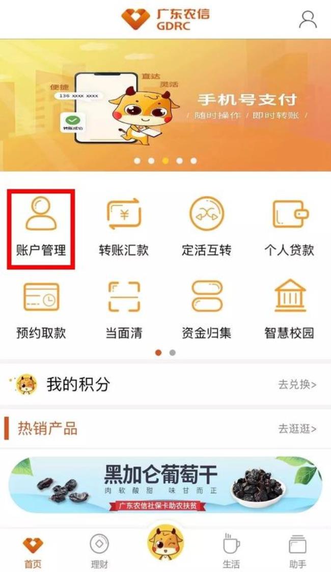 怎么登录河北农信查询余额