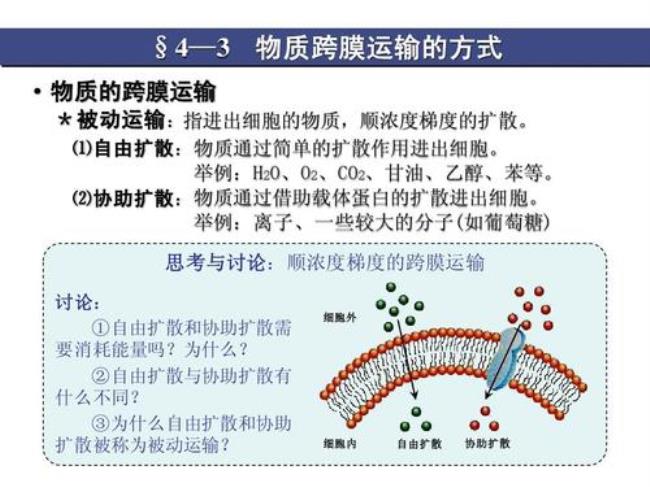 离子跨膜运输方式是什么