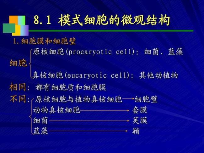 原核细胞膜中的成分是什么