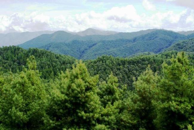 云南森林保护区是什么