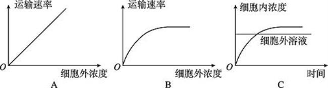 为什么主动运输通氧气可以供能