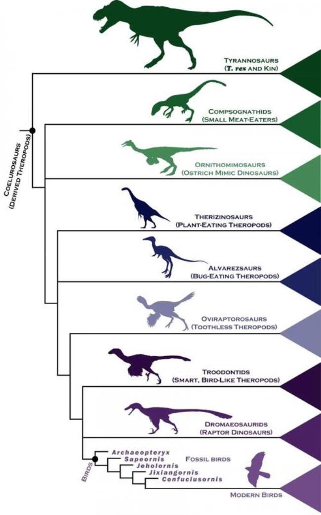 中生代时期的生物进程